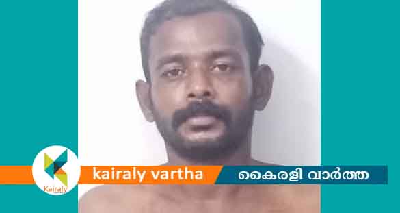 ചിങ്ങവനത്ത് വനിതാ കണ്ടക്ടർക്ക് നേരെ അതിക്രമം: ആലപ്പുഴ സ്വദേശി യുവാവ് അറസ്റ്റിൽ
