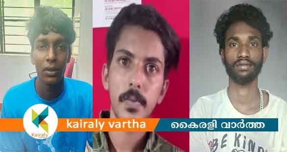മരുന്ന് ലഭിക്കാത്തതിന്‍റെ പേരിൽ മെഡിക്കൽ സ്റ്റോറിന് നേരെ ആക്രമണം: യുവാക്കൾ അറസ്റ്റിൽ