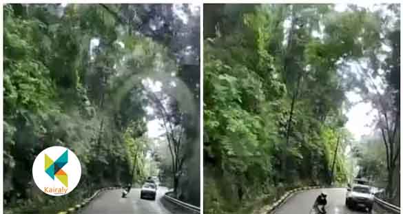 ജീപ്പിനെ ഓവർടേക്ക് ചെയ്തെത്തിയ ബൈക്ക് ബസിന് മുന്നിലേക്ക് ഇടിച്ചുകയറി; 18 വയസുകാരൻ മരിച്ചു