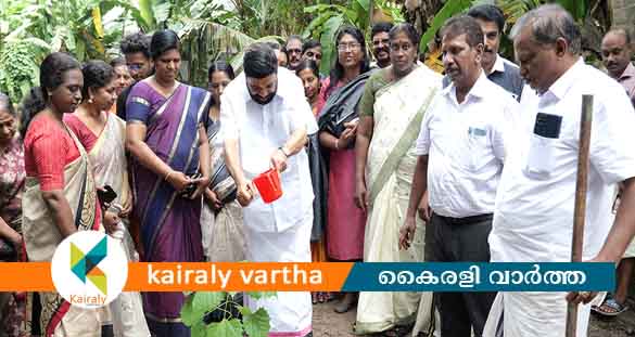 പച്ചത്തുരുത്ത് പദ്ധതിക്ക് കോട്ടയം ജില്ലയിൽ തുടക്കം