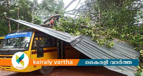 സ്കൂൾ മുറ്റത്ത് കിടന്ന ബസിന് മുകളിലേക്ക് മരം കട പുഴകി വീണു