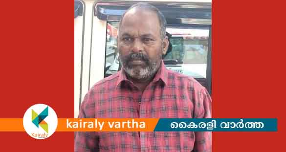 ജാമ്യത്തിലിറങ്ങി ഒളിവിൽ കഴിഞ്ഞിരുന്ന പിടികിട്ടാപുള്ളി പിടിയിൽ