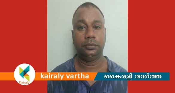 പ്രായപൂർത്തിയാകാത്ത പെൺകുട്ടിയോട് അപമര്യാദയായി പെരുമാറി; യുവാവ് അറസ്റ്റിൽ