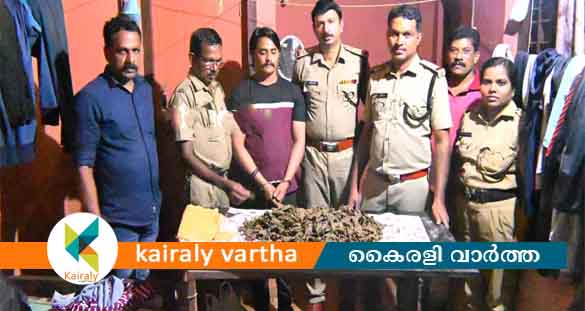 പാലായിൽ വിൽപ്പനയ്ക്ക് കൊണ്ടുവന്ന 2.5 കിലോ കഞ്ചാവുമായി അന്യസംസ്ഥാന തൊഴിലാളി പിടിയിൽ
