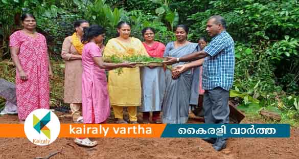 "ഓണത്തിന് ഒരു പിടി പൂവ്"; കുറവിലങ്ങാട് ചെണ്ടുമല്ലി കൃഷി ആരംഭിച്ചു