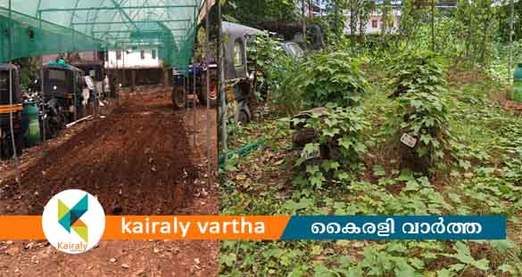 'മാതൃകാ പോഷകത്തോട്ടം @ കൃഷി പാഠശാല' പദ്ധതിയുമായി കുറവിലങ്ങാട് കാർഷിക സഫാരിക്ലബ്