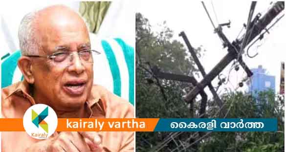 വൈദ്യുതി കമ്പി പൊട്ടിവീണ് മരിച്ച സുധൻ്റെ കുടുംബത്തിന് 10 ലക്ഷം രൂപ ധനസഹായം പ്രഖ്യാപിച്ചു
