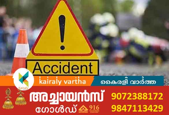 കോട്ടയത്ത് നിയന്ത്രണം വിട്ട ഓട്ടോറിക്ഷ മറിഞ്ഞ് യുവാവ് മരിച്ചു; 2 പേര്‍ക്ക് പരിക്ക്