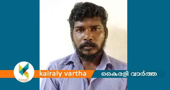 മോഷണ കേസിൽ ഒളിവിൽ കഴിഞ്ഞിരുന്നയാൾ വർഷങ്ങൾക്കു ശേഷം പിടിയിൽ