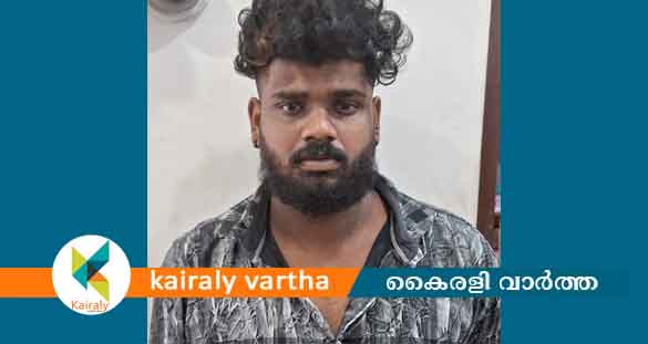 പോക്സോ കേസ്: നെടുംകുന്നം സ്വദേശി യുവാവ് അറസ്റ്റിൽ