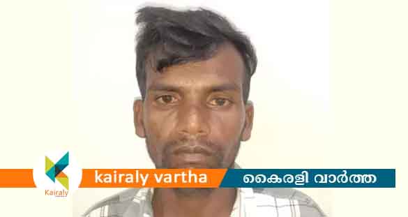 കോട്ടയത്ത് കഞ്ചാവുമായി പിടിയിലായ ആള്‍ ജയിലില്‍ കുഴഞ്ഞുവീണു മരിച്ചു