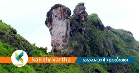 അതിശക്തമായ മഴ: വിനോദസഞ്ചാര കേന്ദ്രങ്ങളിൽ പ്രവേശന വിലക്ക്