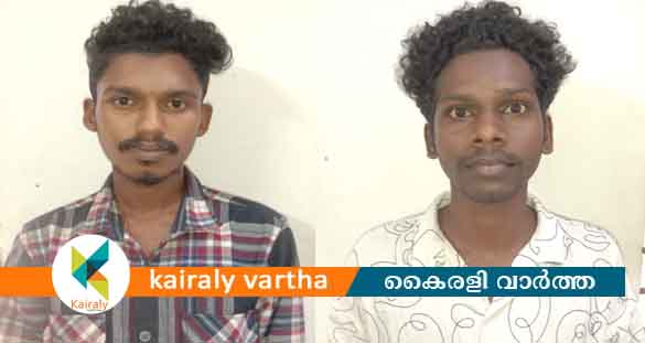 യുവാക്കളെ ആക്രമിച്ചു കൊലപ്പെടുത്താൻ ശ്രമിച്ച കേസിൽ രണ്ടുപേർ അറസ്റ്റിൽ