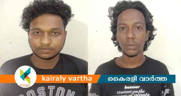 യുവാക്കളെ ആക്രമിച്ചു കൊലപ്പെടുത്താൻ ശ്രമിച്ച കേസിൽ രണ്ടുപേർ കൂടി പിടിയില്‍