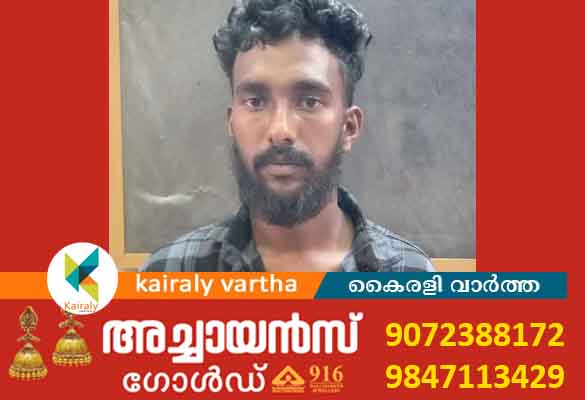 യുവാവിനെ ആക്രമിച്ച് കൊലപ്പെടുത്തിയ കേസിൽ പ്രതി പിടിയിൽ