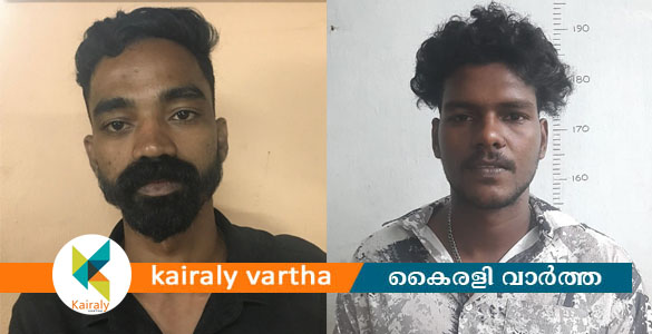നിരന്തര കുറ്റവാളികളായ രണ്ട് യുവാക്കളെ കാപ്പാ ചുമത്തി നാടുകടത്തി