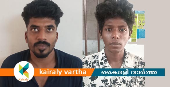 അയർക്കുന്നത്ത്‌ കഞ്ചാവ് വിൽപ്പന നടത്താൻ ശ്രമം; രണ്ടുപേർ അറസ്റ്റിൽ