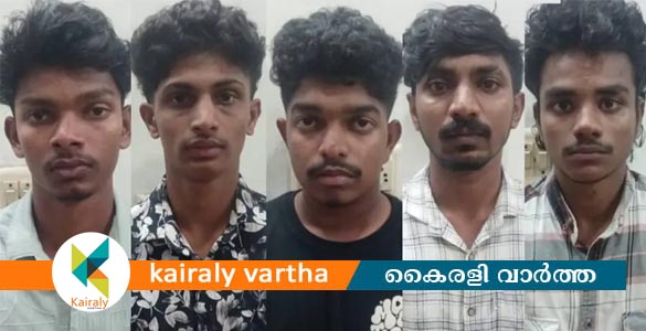 ഗാന്ധിനഗർ ഗവ. നഴ്സിങ് കോളജിലെ റാഗിങ്; 5 പ്രതികൾക്കും ജാമ്യം