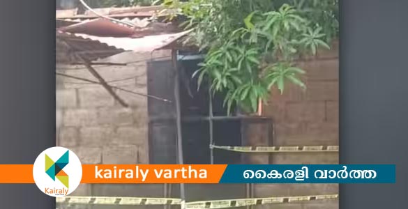എരുമേലിയിൽ വീടിന് തീപിടിച്ച് അമ്മ മരിച്ചു; അച്ഛനും 2 മക്കൾക്കും ഗുരുതരമായി പൊള്ളലേറ്റു