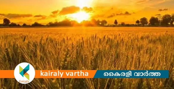 പത്താമുദയ ദിനത്തിൽ പത്തിന പദ്ധതി ഉദ്ഘാടനവുമായി കുറവിലങ്ങാട് കൃഷി ഭവൻ