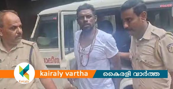ഹോട്ടലിൽ മദ്യപിച്ച് ബഹളമുണ്ടാക്കി: നടൻ വിനായകൻ പോലീസ് കസ്റ്റഡിയിൽ