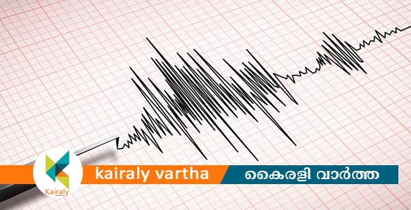 പാകിസ്താനില്‍ ഭൂചലനം; റിക്ടര്‍ സ്‌കെയിലില്‍ 4.0 തീവ്രത രേഖപ്പെടുത്തി