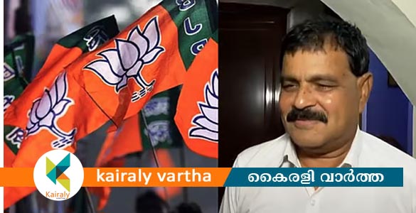 അഡ്വ. മോഹന്‍ ജോര്‍ജ് നിലമ്പൂരില്‍ ബിജെപി സ്ഥാനാര്‍ത്ഥി