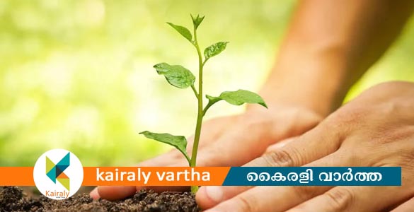 ട്രീ ബാങ്കിംഗ് പദ്ധതിയിലേക്ക് അപേക്ഷ ക്ഷണിച്ചു