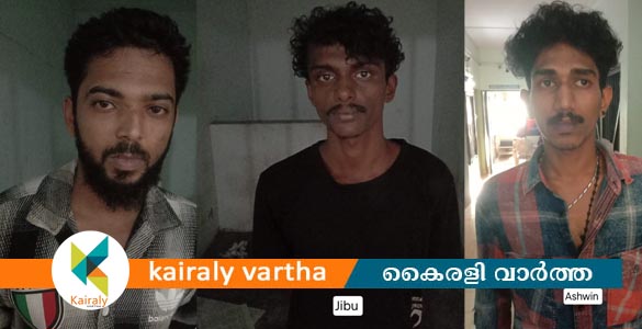 കഞ്ചാവും നൈട്രോസെപാം ഗുളികകളുമായി സ്ത്രീയുൾപ്പെട്ട ക്രിമിനൽ സംഘം പിടിയിൽ