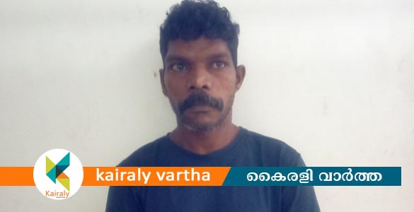 തൃക്കൊടിത്താനത്ത് വീട്ടമ്മയുടെ മരണം കൊലപാതകം; ഭർത്താവ് അറസ്റ്റിൽ