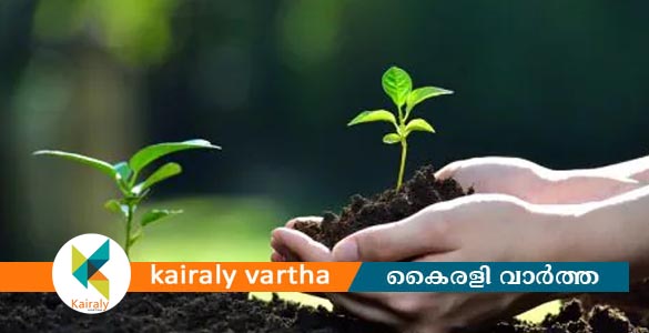 'ഒരു തൈനടാം' ജനകീയ കാമ്പയിൻ; കോട്ടയം ജില്ലയിൽ ഏഴരലക്ഷം വൃക്ഷതൈകൾനടും