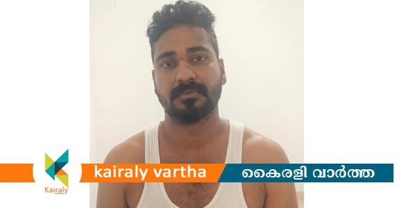 രാമപുരത്ത് വാഹനാപകടത്തിൽ യുവതി മരിച്ച സംഭവം :  മദ്യപിച്ചു വാഹനം ഓടിച്ചയാൾക്കെതിരെ കേസ്