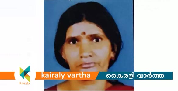 കാപ്പി തിളപ്പിക്കുന്നതിനിടെ തീ പടർന്നു; കോട്ടയത്ത് വീട്ടമ്മക്ക് ദാരുണാന്ത്യം