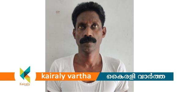 സ്കൂൾ വാനിൽ വിദ്യാർഥിനിക്ക് നേരെ ലൈംഗിക അതിക്രമം; ഡ്രൈവർ പിടിയിൽ