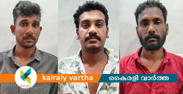 കോട്ടയത്ത് വിൽപ്പനയ്ക്ക് എത്തിച്ച നിരോധിത ലഹരി വസ്തുവായ എംഡിഎംഎയുമായി യുവാക്കൾ അറസ്റ്റിൽ