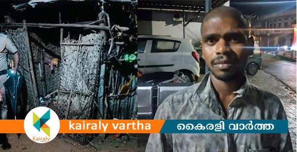 പള്ളിക്കത്തോട്ടിൽ ലഹരിക്ക് അടിമയായ മകൻ അമ്മയെ വെട്ടിക്കൊന്നു