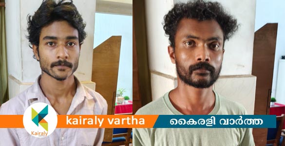 പാലായിൽ ലഹരി വസ്തുക്കളുമായി യുവാക്കൾ പിടിയിൽ