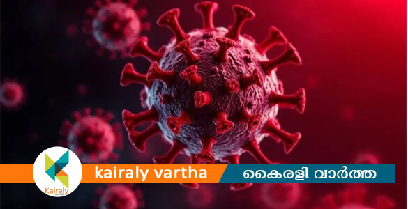സംസ്ഥാനത്ത് വീണ്ടും നിപ; പാലക്കാട് സ്വദേശിനിക്ക് നിപ സ്ഥിരീകരിച്ചു