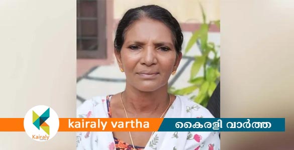 പാലായില്‍ പിക്കപ്പ് വാൻ ഇടിച്ച് കാൽനട യാത്രക്കാരി മരിച്ചു