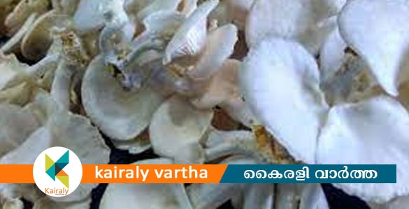 കൂൺഗ്രാമം പദ്ധതി: രണ്ടാംഘട്ടം കോട്ടയം ജില്ലയിൽ നടപ്പാക്കുന്നത് നാലു നിയോജക മണ്ഡലങ്ങളിൽ
