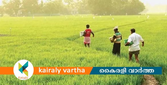 കുട്ടനാട് പാക്കേജ്: തലയാഴം ഗ്രാമപഞ്ചായത്തിലെ പാടശേഖരങ്ങളുടെ അടിസ്ഥാന സൗകര്യ നിർമാണോദ്ഘാടനം  നാളെ