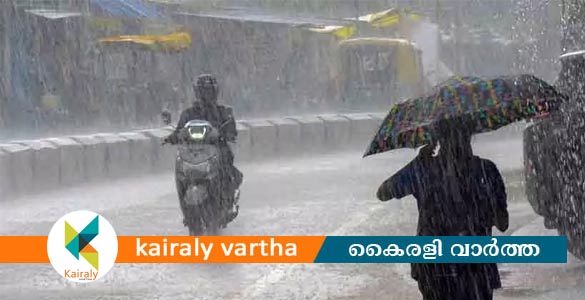 കാറ്റും മഴയും: കോട്ടയം ജില്ലയിൽ 172 വീടുകൾക്ക് ഭാഗികനാശം