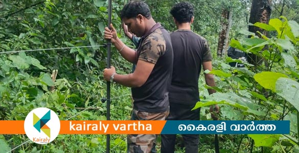 സൗരവേലിയുടെ തകരാറുകൾ പരിഹരിച്ച് വനം വകുപ്പിന്റെ സോളാർ ഫെൻസ് സർവീസ് സെന്റർ
