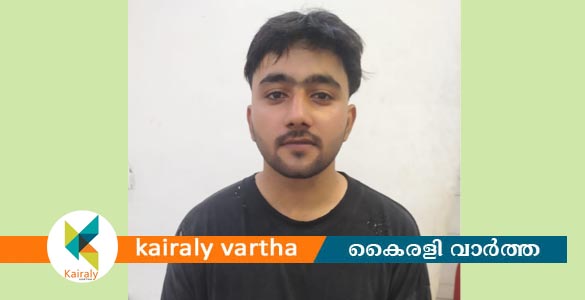 കോട്ടയത്ത് ഹാഷിഷ് ഓയിലുമായി യുവാവ് പിടിയിൽ