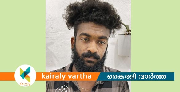 കാപ്പ നിയമപ്രകാരം യുവാവിനെ കരുതൽ തടങ്കലിൽ ആക്കി