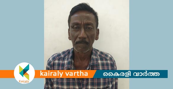 കടയുടെ പൂട്ട് തകര്‍ത്ത് മോഷണ ശ്രമം; പാലക്കാട് സ്വദേശി പിടിയില്‍