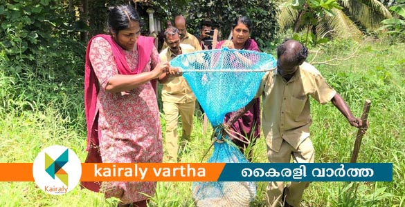 കോട്ടയത്ത് തെരുവ് നായ ആക്രമണം: മുൻ ചെയർമാൻ ഉൾപ്പെടെ 7 പേർക്ക് കടിയേറ്റു