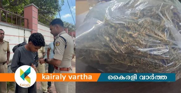 ചങ്ങനാശേരിയിൽ ഒരു കിലോ കഞ്ചാവും 10ഗ്രാം എംഡിഎംഎയുമായി വിദ്യാർഥി പിടിയിൽ