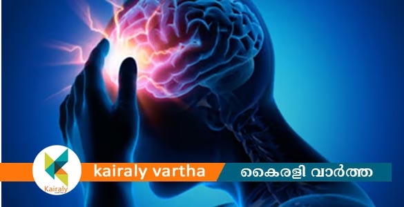 അമീബിക് മസ്തിഷ്ക ജ്വരം ബാധിച്ച് വീണ്ടും മരണം; ചികിത്സയിലായിരുന്ന കുഞ്ഞും വീട്ടമ്മയും മരിച്ചു