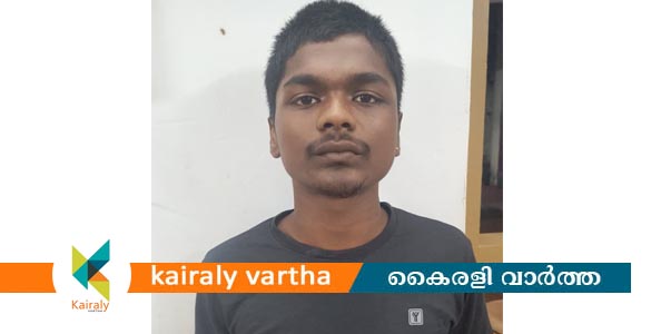 കുമാരനല്ലൂരിൽ വീട്ടിൽ കയറി ഗൃഹനാഥയ്ക്കും സഹോദരനും നേരെ ആക്രമണം; പ്രതി അറസ്റ്റിൽ
